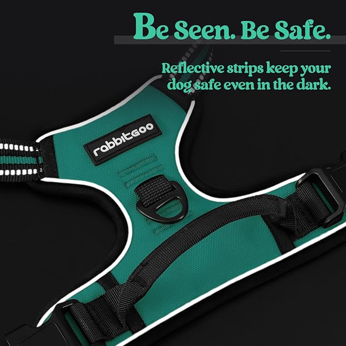 rabbitgoo Dog Harness No Pull with 2 Leash Clips, Adjustable Soft Padded, Reflective Oxford No Choke Pet Vest with Easy Control Handle for Large Dogs, Turquoise, XL