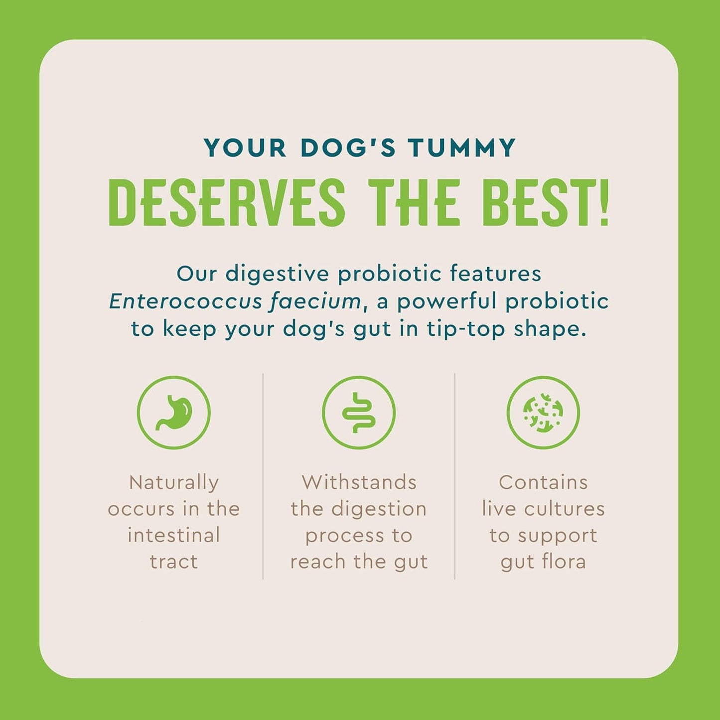 VetIQ Probiotic Powder for Dogs, Treats Diarrhea, Digestive Issues, and Food Sensitivity, Chicken Flavored Single Serve Packets, 30 Count