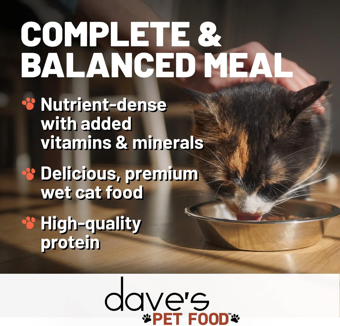 Dave's Pet Food Grain Free Wet Cat Food Pate (Turkey), Made in USA Naturally Healthy Canned, Added Vitamins & Minerals, Carrageenan-Free, 5.5 oz Cans (24 Pack)