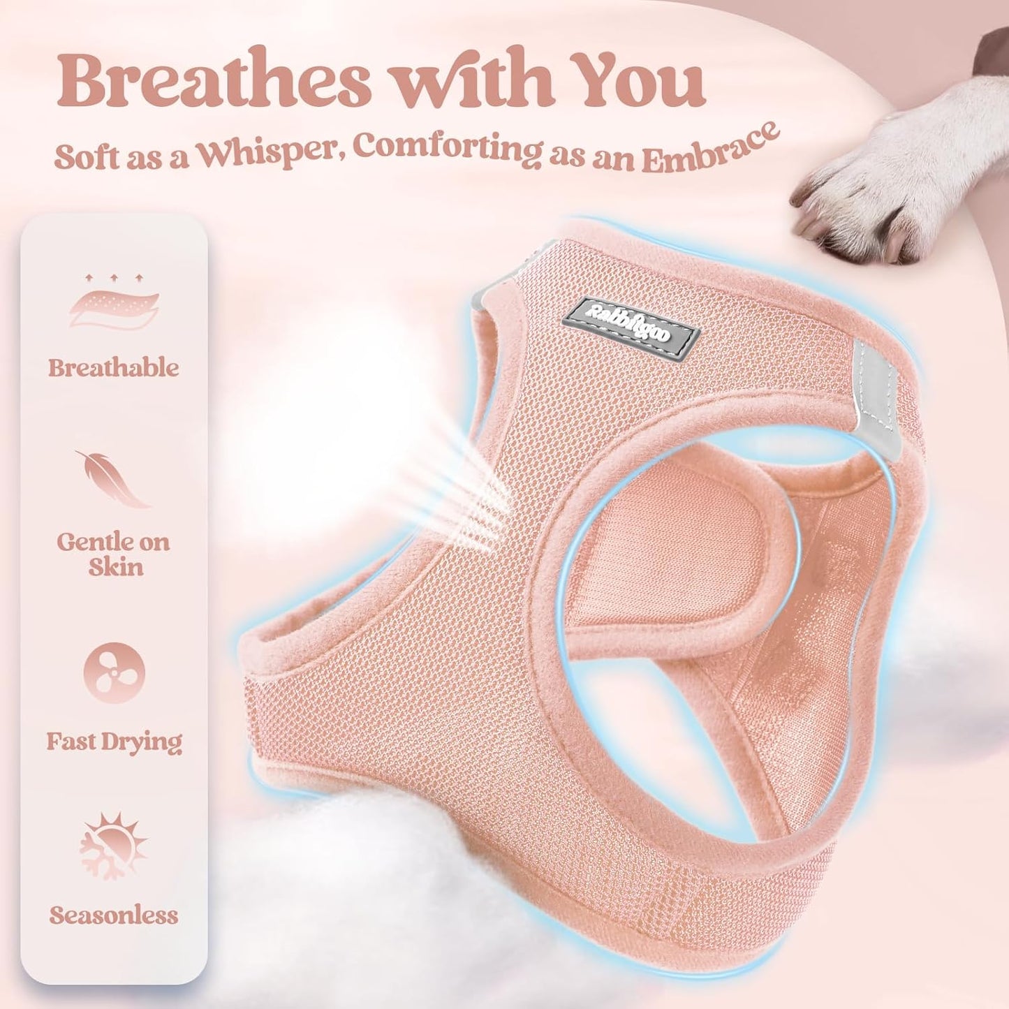 rabbitgoo Dog Harness Small Sized and Leash Set, Step in Soft Light Puppy Vest, Breathable Mesh Pet Harness, Reflective for Outdoor Safe Walking, Pink XXL