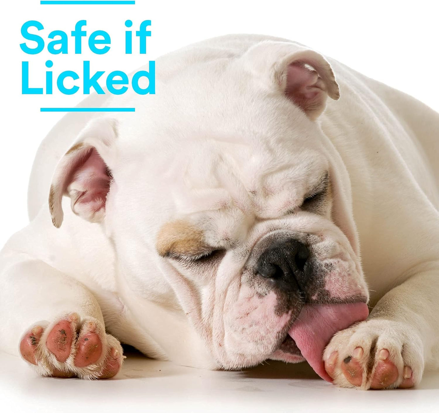 SkinSmart Antimicrobial Wound Care for Pets, Hypochlorous Acid Removes Bacteria to Promote Healing and Relieves Itch, Safe if Licked, 8 Ounce Spray Bottle