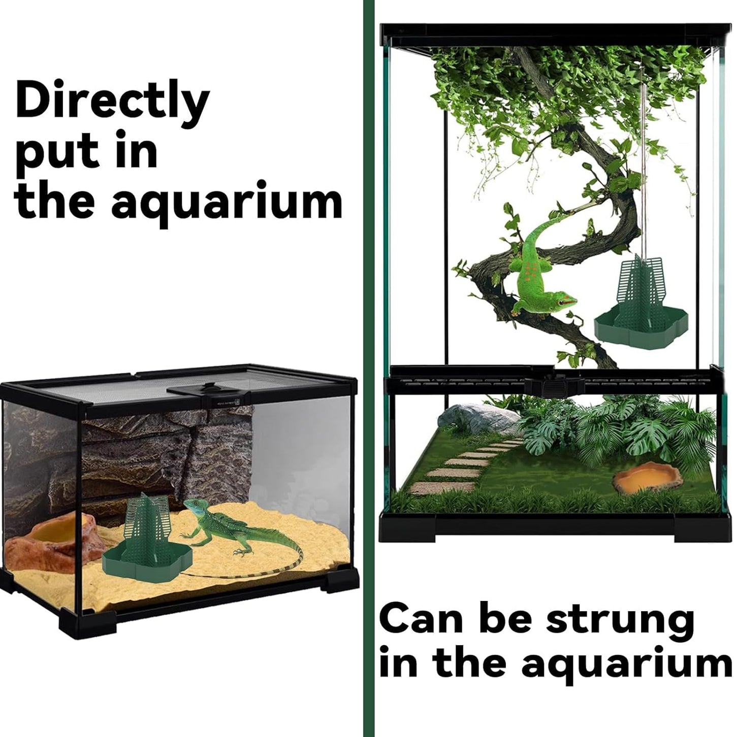 Chameleon Feeder Bearded Dragon Feeder for Mounted Insect with Rope and Tweezers, Tank and Aquarium Accessories for Lizard, Bearded Dragon, Gecko, Frog（Large）