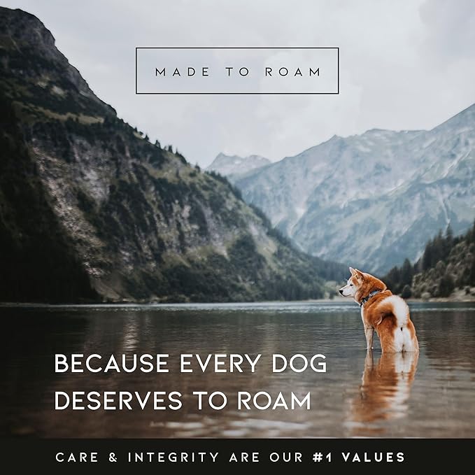 MADE TO ROAM Premium Explorer Harness - Y-Shaped Dog Harness with Adjustable Durable Nylon, Soft Padding, Metal Buckles and Leather Handle for Small, Medium, Large Dogs (Montana Moonrise, Size 3)