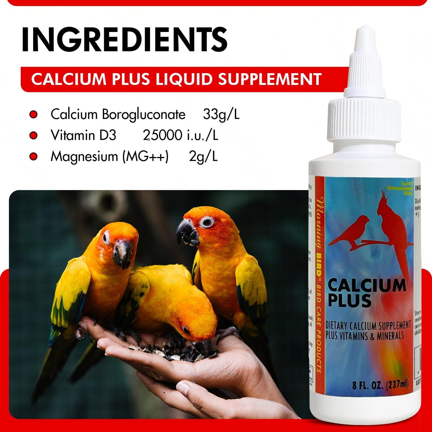 Morning Bird Calcium Plus Liquid Supplement for Birds - Liquid Calcium Formula with Magnesium and Vitamin D3 Calcium Supplement for All Birds – 8 Fl Oz