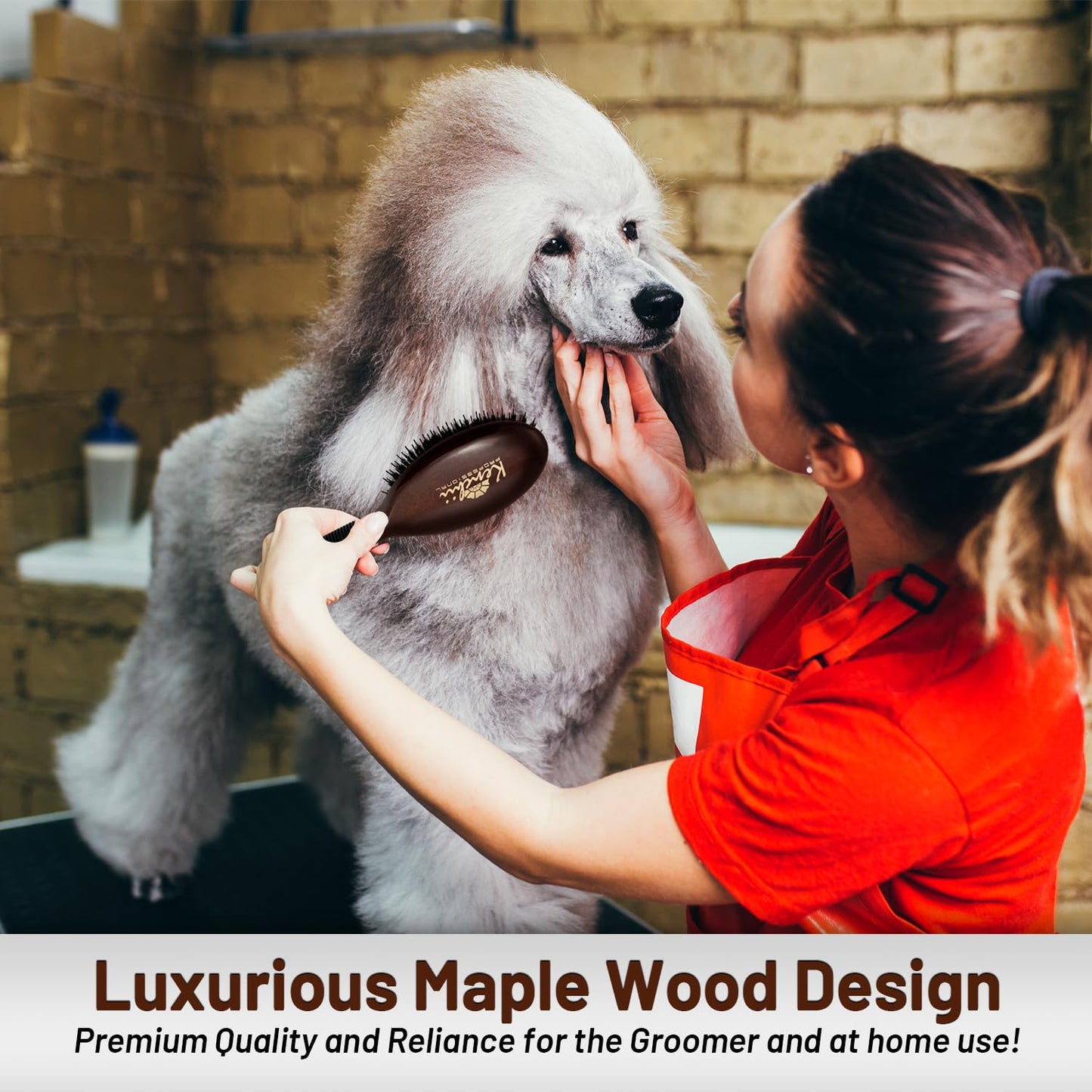 Kenchii Boar and Nylon Bristle Dog/Cat Grooming Brush with One-Piece Maple Body-Choose Size Large, Small (Small)