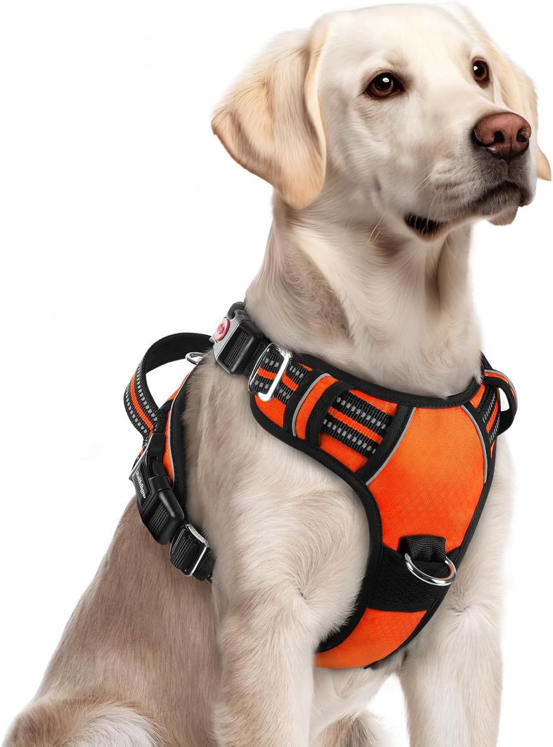 rabbitgoo Dog Harness for Large Dogs, No Pull Pet Vest with 3 Buckles, Adjustable Soft Padded Pet Harness with Easy Control Handle and Reflective Strips, Orange, L