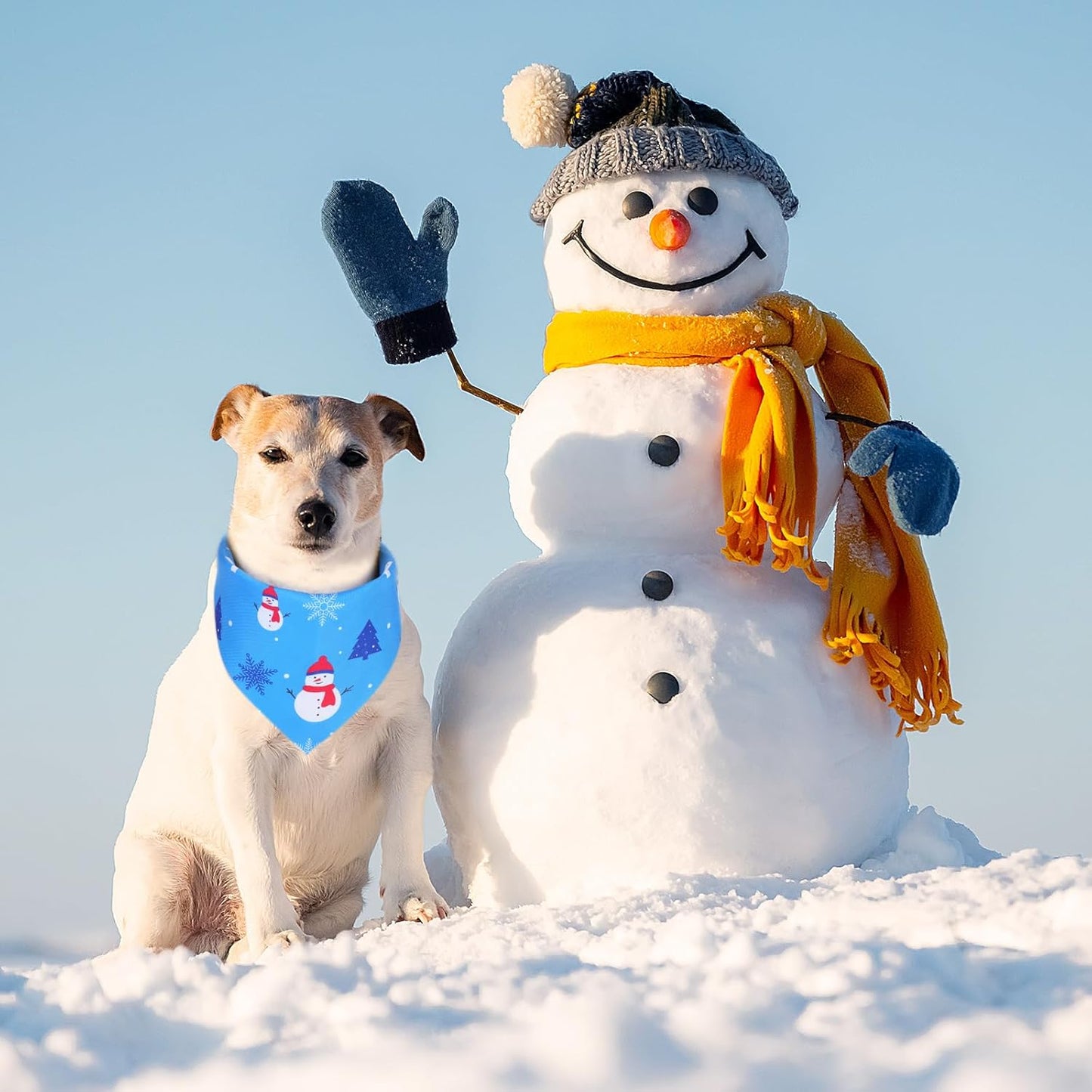 Abbylike 50 Pcs Winter Dog Bandanas Bulk Blue Snowflake Dog Bandanas for Pets Triangle Kerchief Scarf Bibs for Winter Pets Cats Party Costume Photo Props Accessories Pet Shops (31.5 x 21.7 x 21.7)