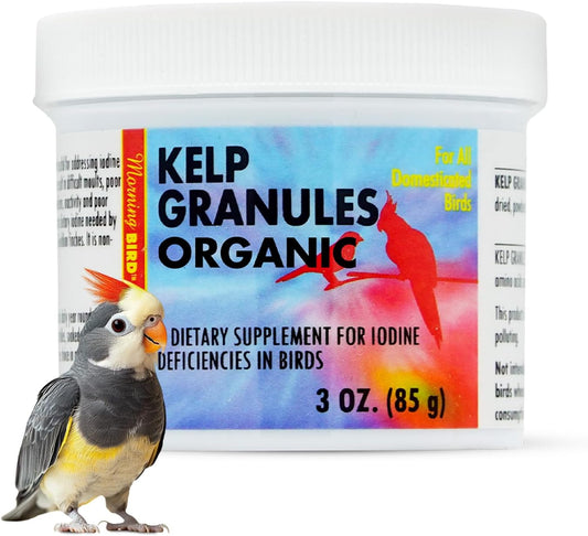 Morning Bird Kelp Granules 3 Oz – Iodine Supplement for Birds – Supports Feather Growth, Molting & Metabolism – Rich in Amino Acids, Trace Minerals & Natural Vitamins – Clean Nutrition for All Birds