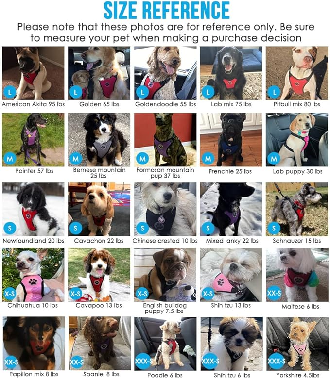 Lukovee Dog Seat Belt for Car, Adjustable Dog Car Harness for Large Medium Small Dogs, Soft Padded & Breathable Mesh Dog Seatbelt with Car Strap and Carabiner(Camouflage Double Clip,X-Small)