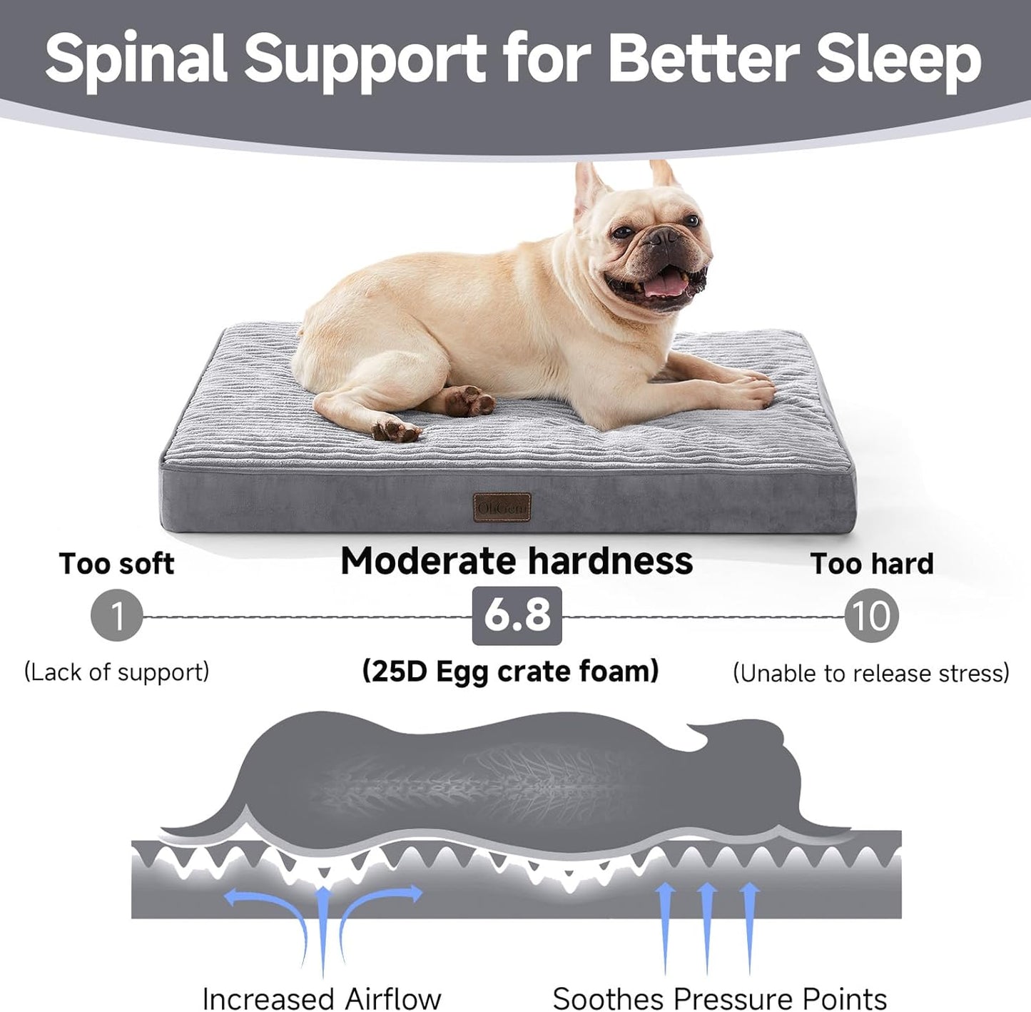 OhGeni Orthopedic Waterproof & Machine Washable Dog Bed for Small Medium Pets, Suitable for Crates, Cat Mat with 25D Egg Crate Foam, Removable Cover & Invisible Zipper, 30 Inches(Gray)