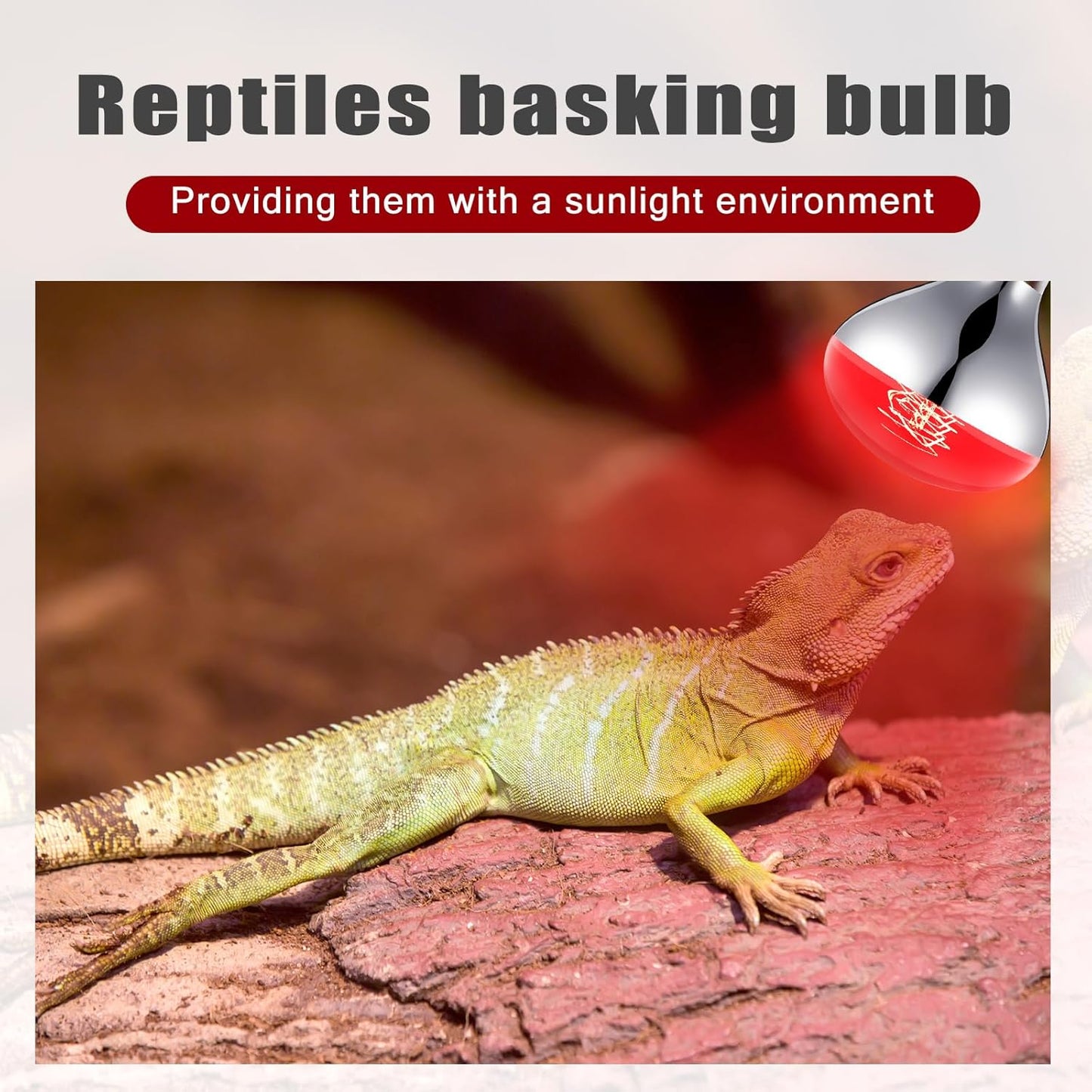 VIHOSE 3 Pack 250 Watt Heat Lamp 120v R40 Heat Lamp Bulbs Glass Incandescent Light Bulbs Incandescent Heating Lightbulbs for Reptiles Chicks Food Puppies Bathroom, Use E26 Base (Red)