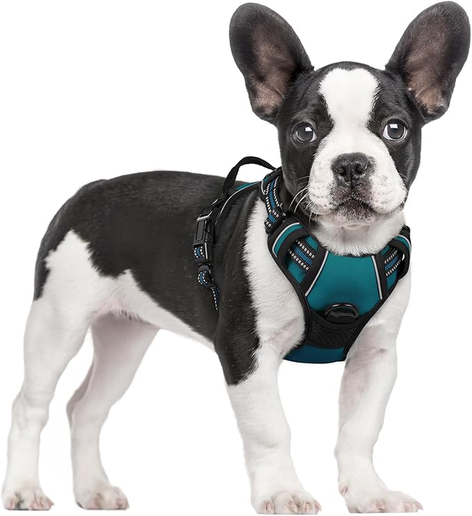 rabbitgoo Dog Harness No Pull with 2 Leash Clips, Adjustable Soft Padded, Reflective Oxford No Choke Pet Vest with Easy Control Handle for Small Dogs, Blue Coral, S