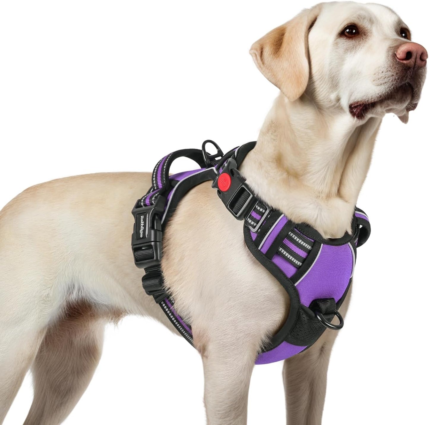 rabbitgoo Dog Harness for Large, No Pull Pet Harness with 3 Buckles, Adjustable Soft Padded Vest with Control Handle, Walking Reflective Pet Vest for Large Dogs, Purple, L