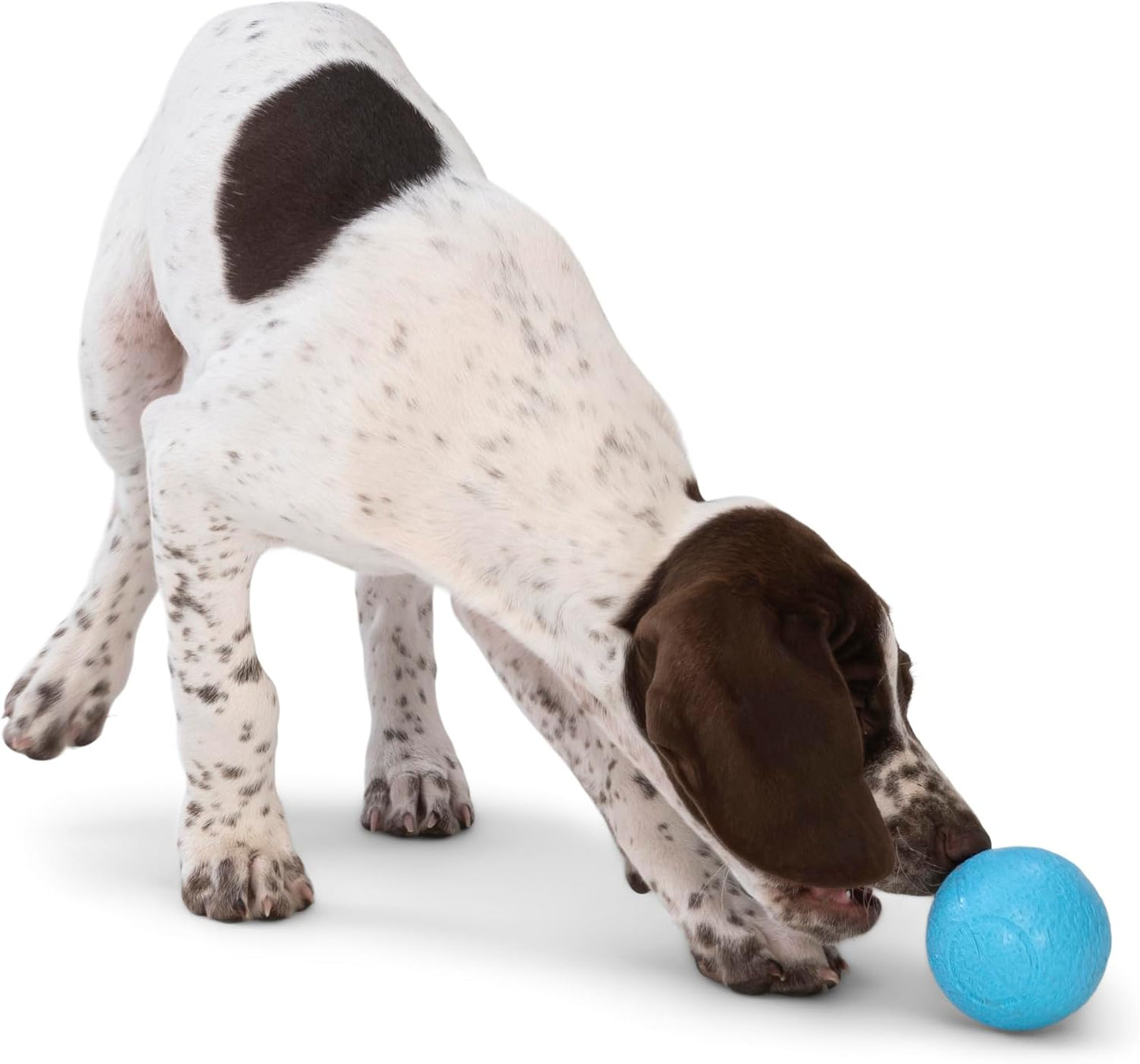 WEST PAW Boundr Ball Dog Fetch Toy – Bouncing Toys for Dogs, Fetch, Catch, Chewing, Play – Floatable, Recyclable Balls – Small Hot Pink/Aqua Blue 2-Pack