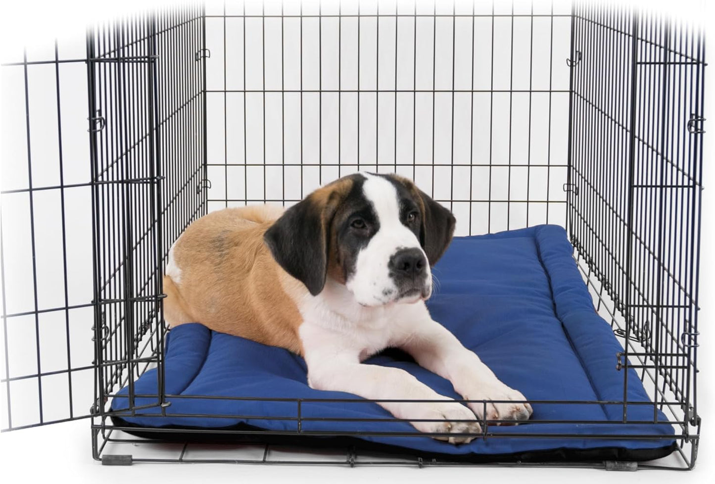 K9 Ballistics Tough Ripstop Dog Crate Pad - Durable & Machine Washable with Non-Skid Bottom and 120-Day Warranty, Fits 54" Wire Crates - XX-Large, Blue Quartz