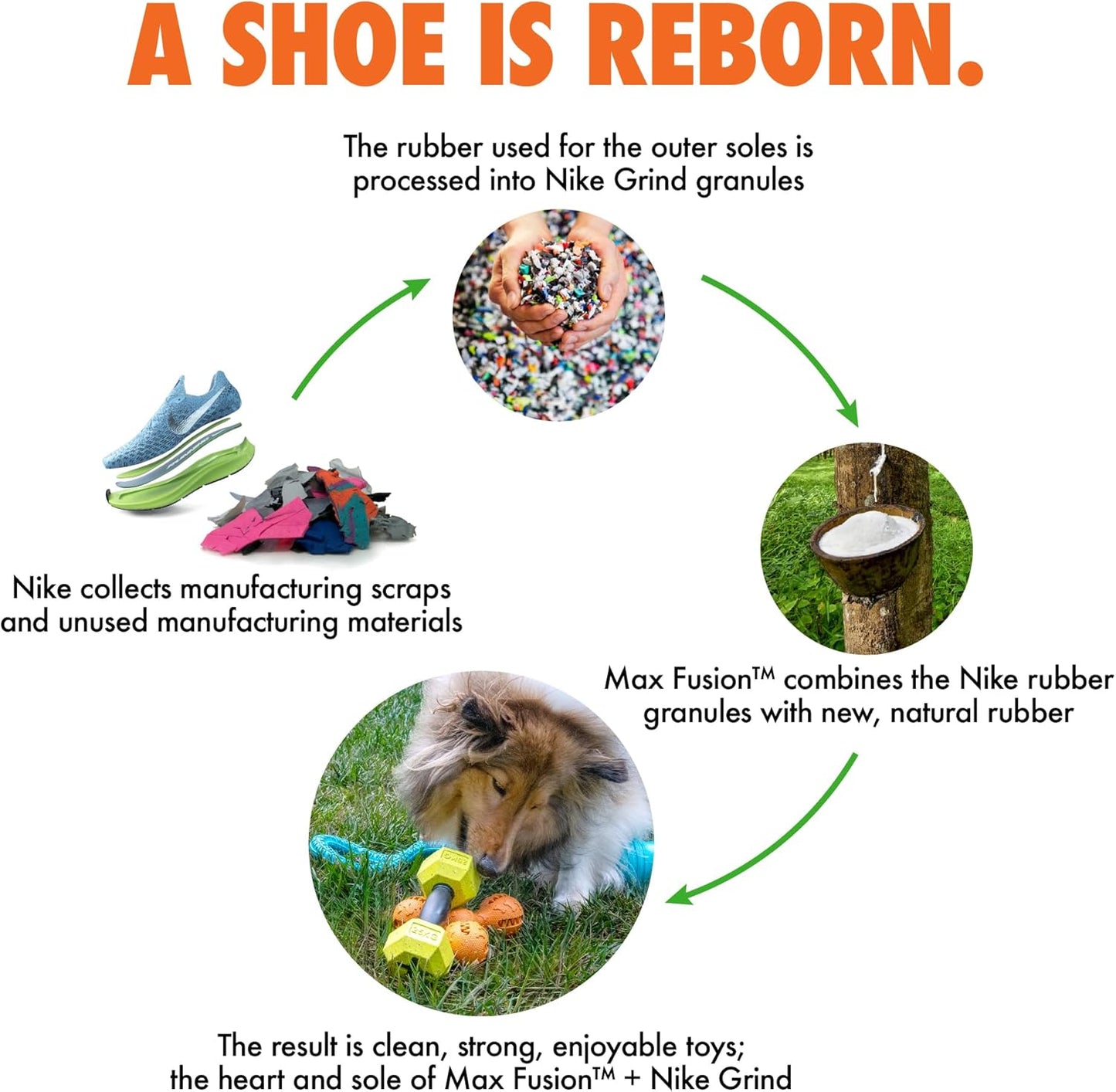 Max Fusion Made with Nike Grind, Arlee Rubber Bone Dog Toy, Dog Toys for All Dogs, Blue Durable & Natural Rubber Chew Toy for Play, Fetch, Tug & Chewing, Large, 1 Count