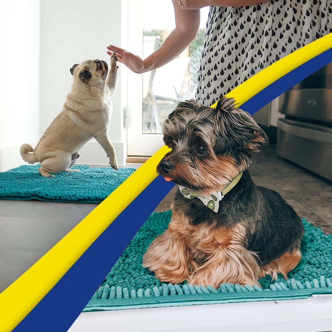 Muddy Mat® Original Dog Door Mat for Muddy Paws, Super Absorbent Microfiber, Non-Slip Washable Pet Rug, Quick Dry Chenille Entryway Carpet, Machine Washable Indoor Outdoor mat, Teal 35"x60"