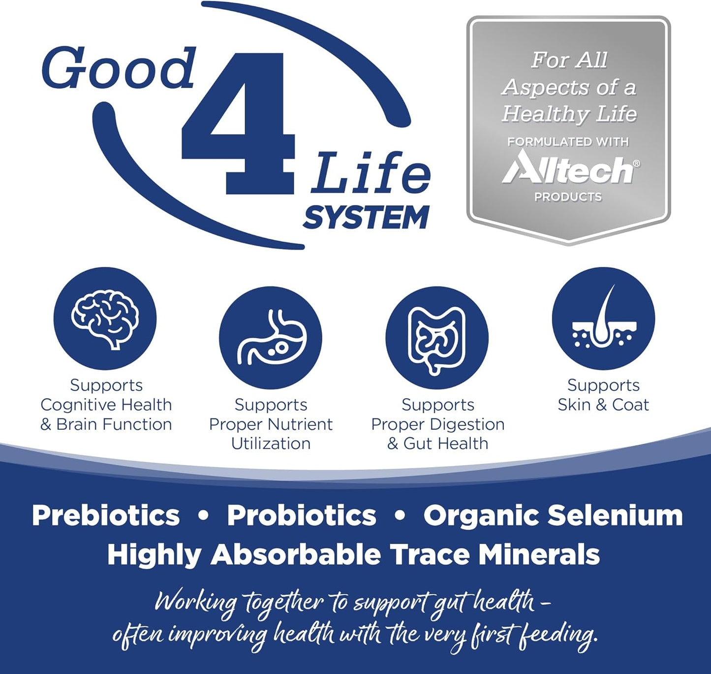 NutriSource Dry Dog Food, Trout and Rice, 12LB