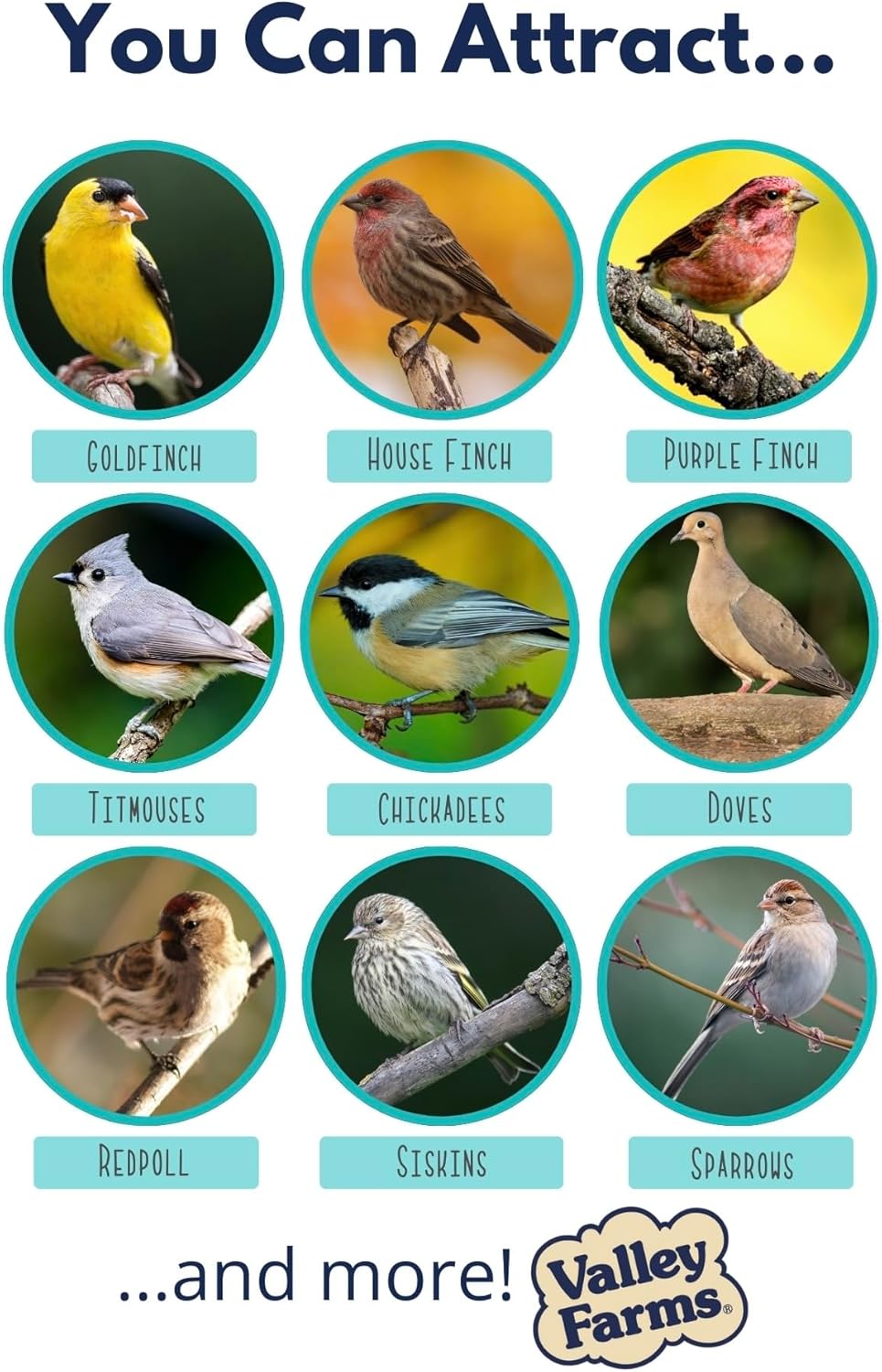 Valley Farms Wild Finch Mix (15 LB) Wild Bird Food for Outside Feeders, Wild Bird Seed with Millet and Chopped Sunflower Hearts for Birds, Finch Seed for Finch Feeders, Sunflower Kernels