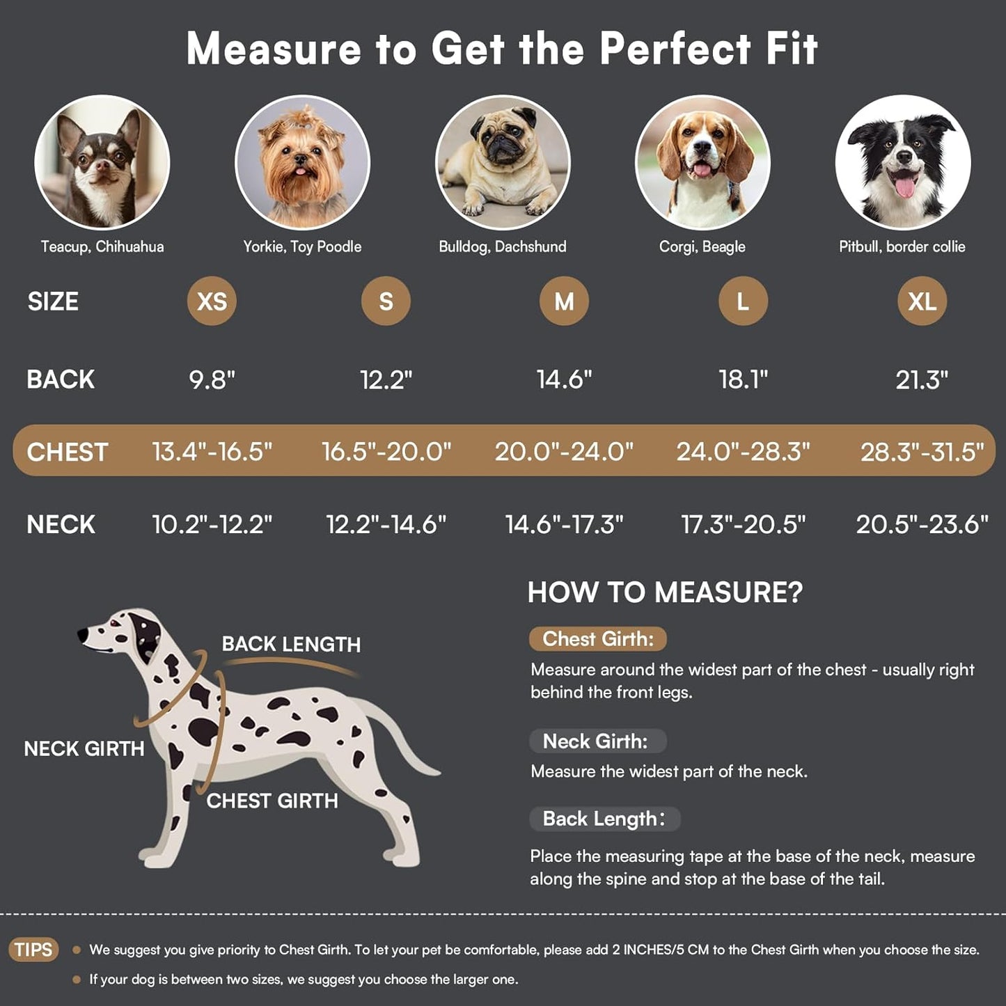 Queenmore Dog Winter Coat Warm Dog Jacket for Cold Weather, Quilting Puffer Plaid Coats for Small/Medium Dogs Waterproof,Girl/Boy Pet Christmas Coat,Pet Snowsuit with Leash Hole/Fleece Padding, L