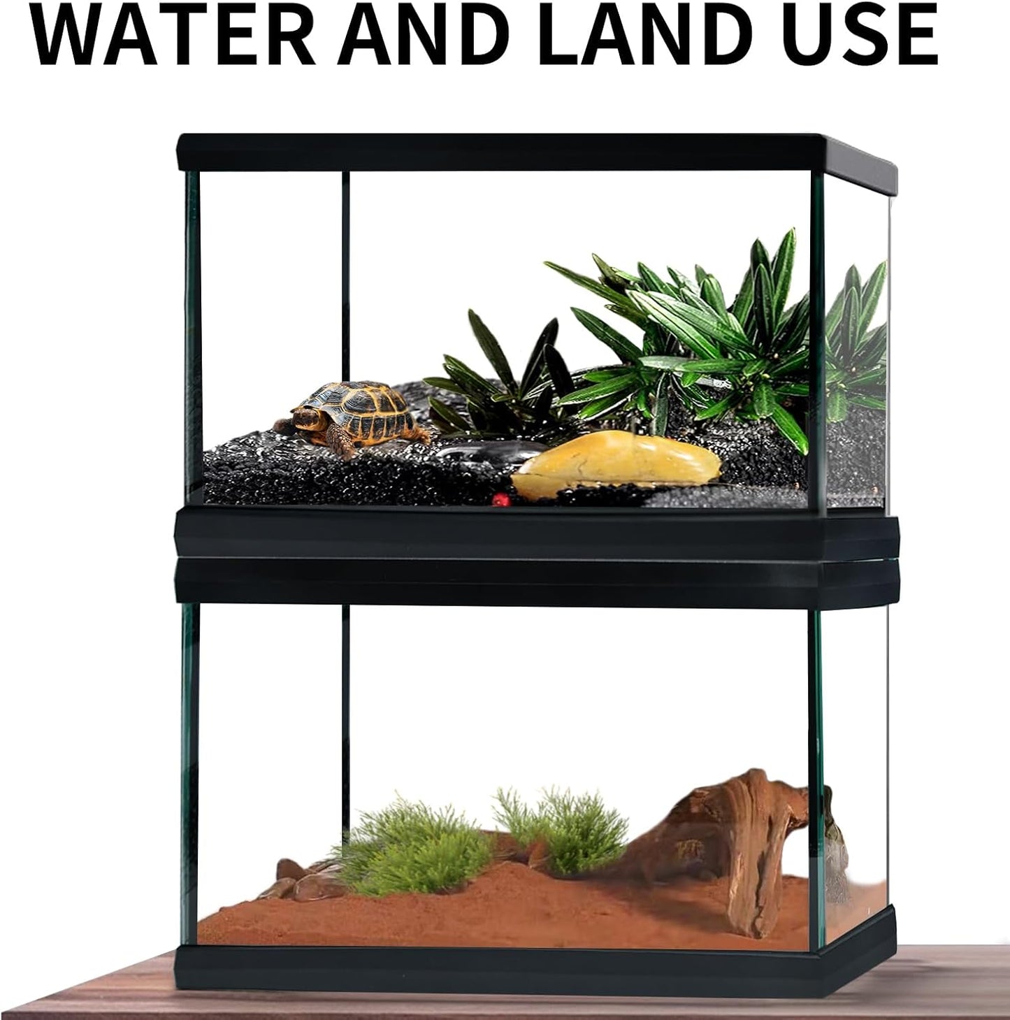 Reptile Glass Terrarium Tank 12"*8"*6",Small Cage Full View with Top Screen Ventilation Habitat Enclosure for Tarantula,Frog,Gecko,Insects,Spiders,Snakes,Hermit Crab,Turtle,Ball Python