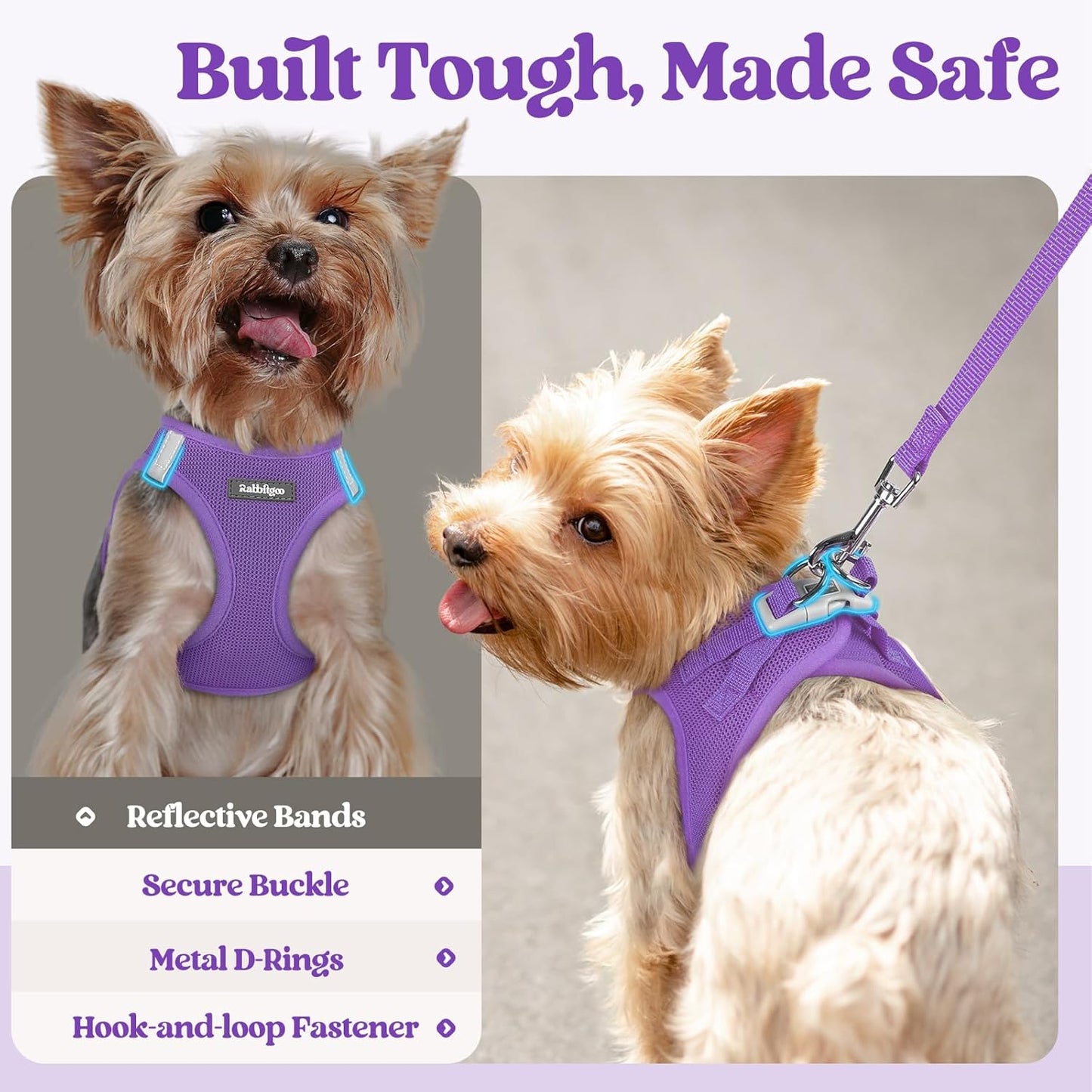 rabbitgoo Dog Harness Small Sized and Leash Set, Step in Soft Light Puppy Vest, Breathable Mesh Pet Harness, Reflective for Safe Outdoor Walking, Purple XXS