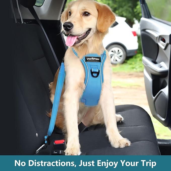 Dog Seat Belt Harness for Car, Dog Car Harness Adjustable Mesh Breathable & Dogs Seatbelt Safety Tether with Elastic Bungee for Small Medium Large Pets(Blue, XL)