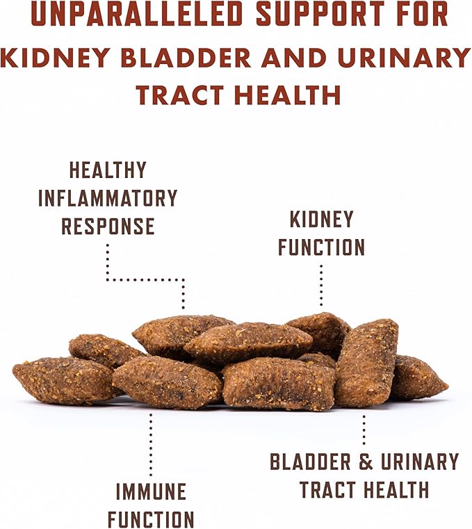 Rocco & Roxie Cat Urinary Tract Health Supplement, Cranberry and D-Mannose for Kidney, Bladder, and UT Support, Vet Recommended Chicken Flavored Crunchy Chews Cats Love, Made in USA