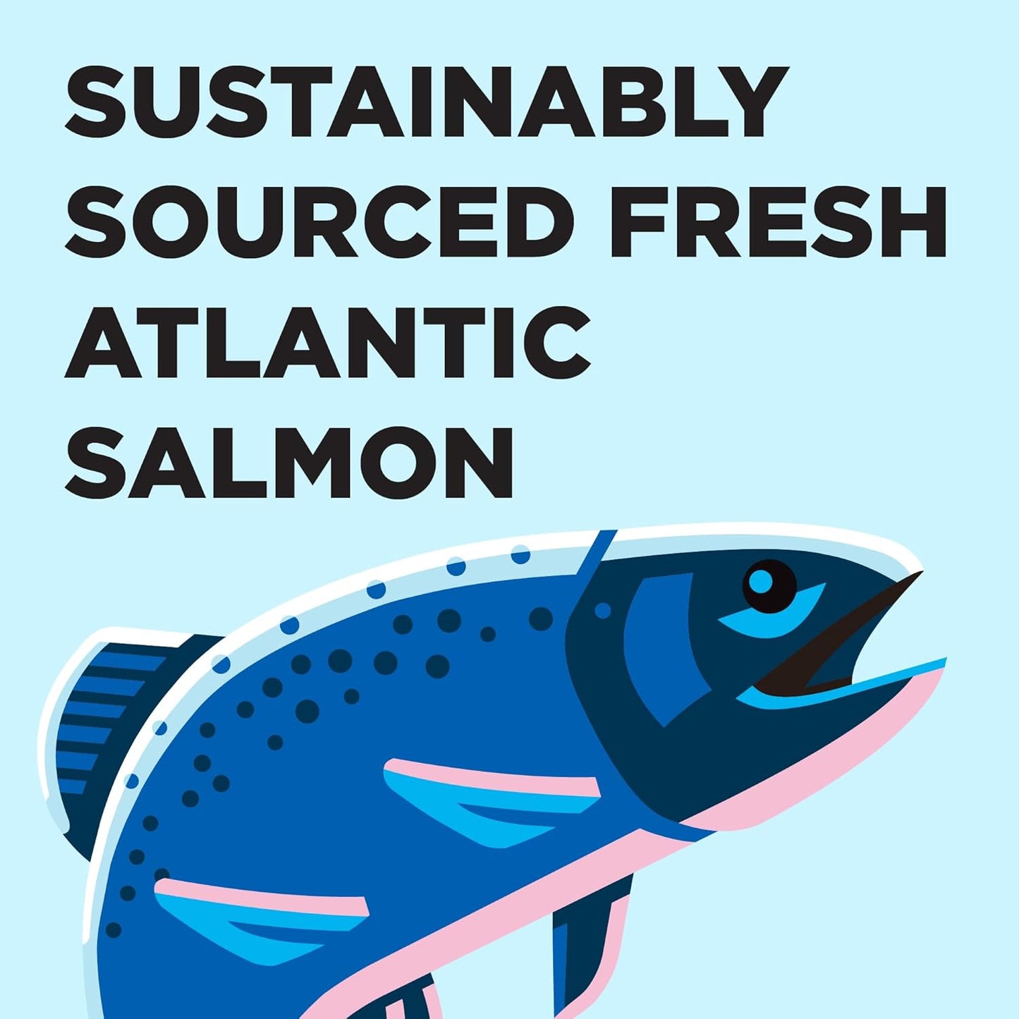 BIXBI Liberty Dry Food Salmon Recipe for Cats, 10lb