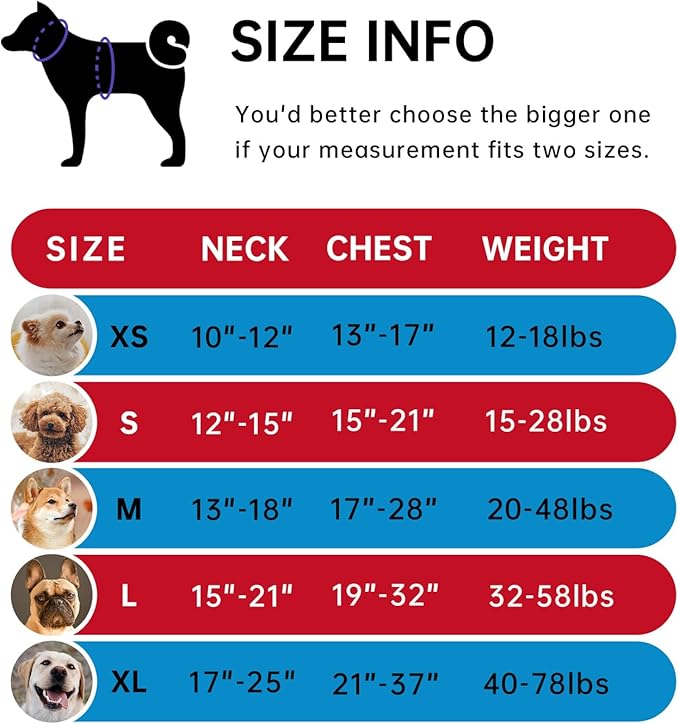 IVY&LANE No Pull Dog Harness for Small Dogs, Dog Vest Harness with Leash, Safety Belt and Storage Strap, Fully Adjustable, 360° Reflective Strip, Soft Handle (Red, S)