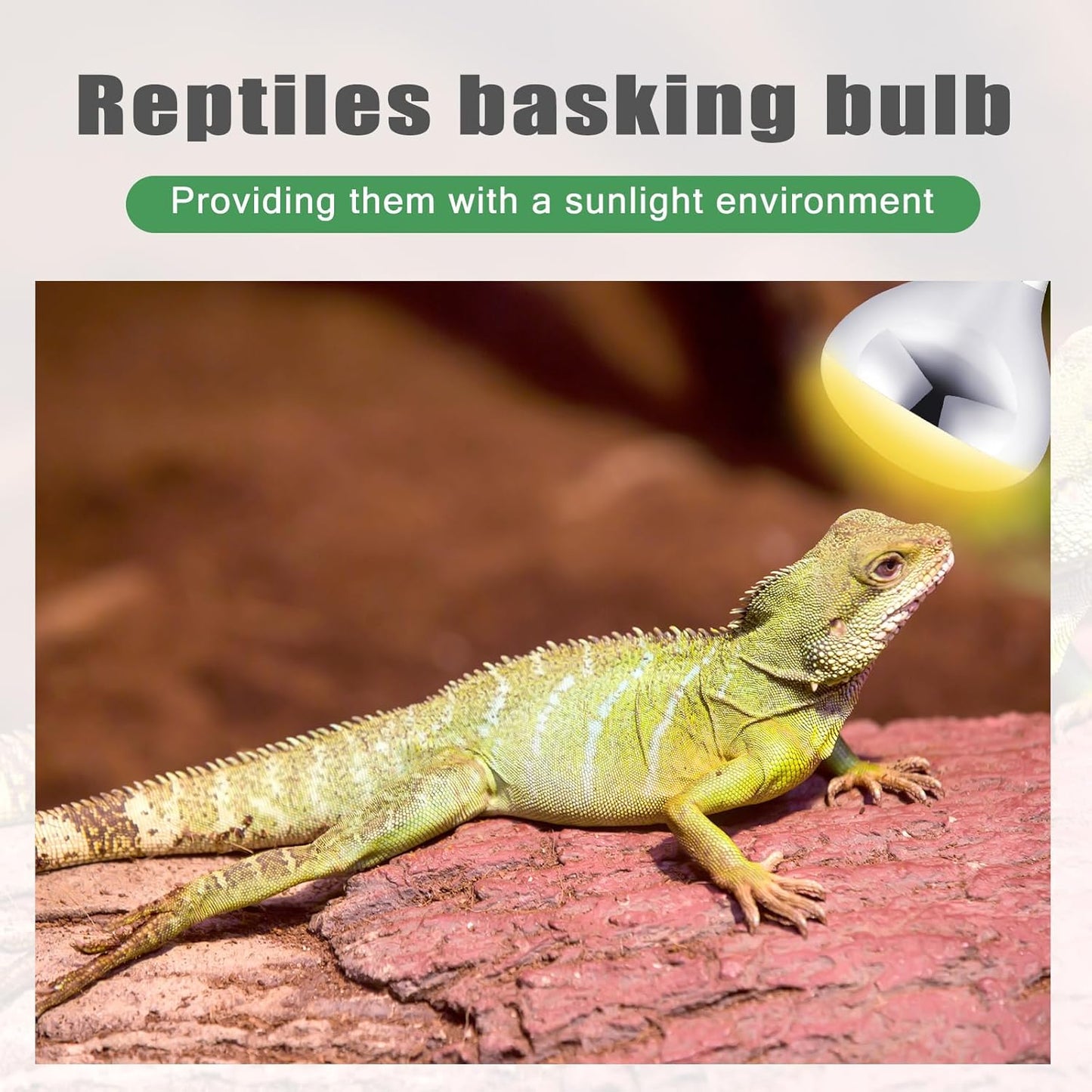 VIHOSE 1 Pack 250 Watt Heat Lamp 120v R40 Heat Lamp Bulbs Glass Incandescent Light Bulbs Incandescent Heating Lightbulbs for Reptiles Chicks Food Puppies Bathroom, Use E26 Base (Silver)