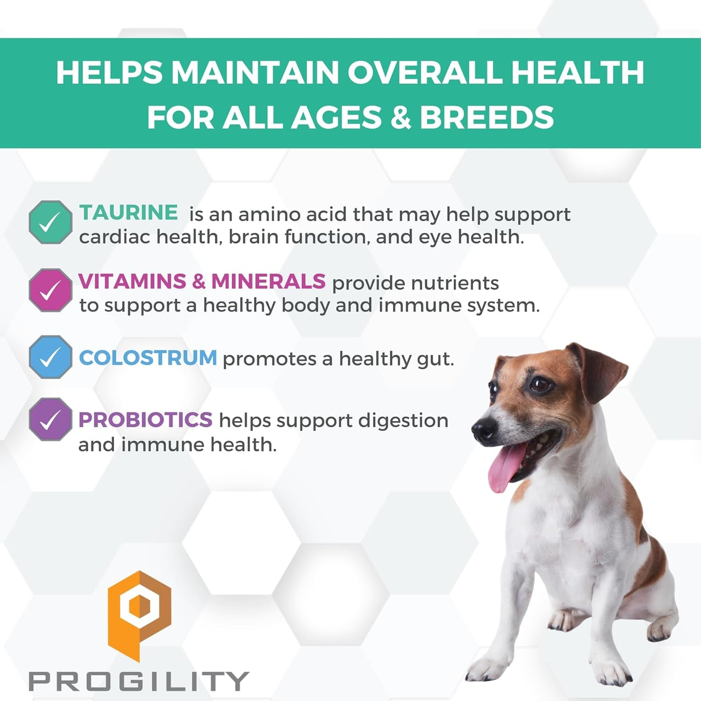 Nootie PROGILITY Daily Mini Multivitamin Chews for Dogs - Supports Immunity, Heart, Eye, Brain, and Bone Health with Taurine- for All Dog Sizes - 60 Soft Chews - Sold in Over 5,000 Pet Stores