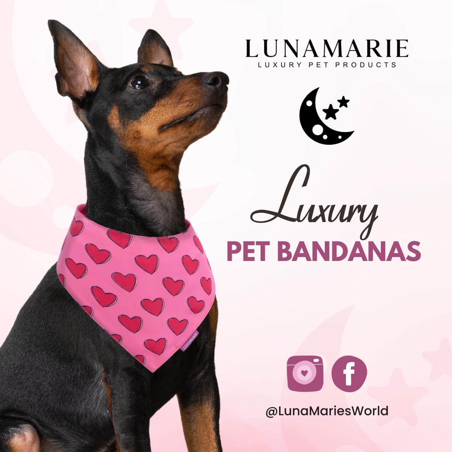 LunaMarie - Luxury Pet Birthday Bandanas -Premium & Silky Poly Fabric | 100% Handmade | Custom Shape Dual Layered (Jennifer, X-Small)