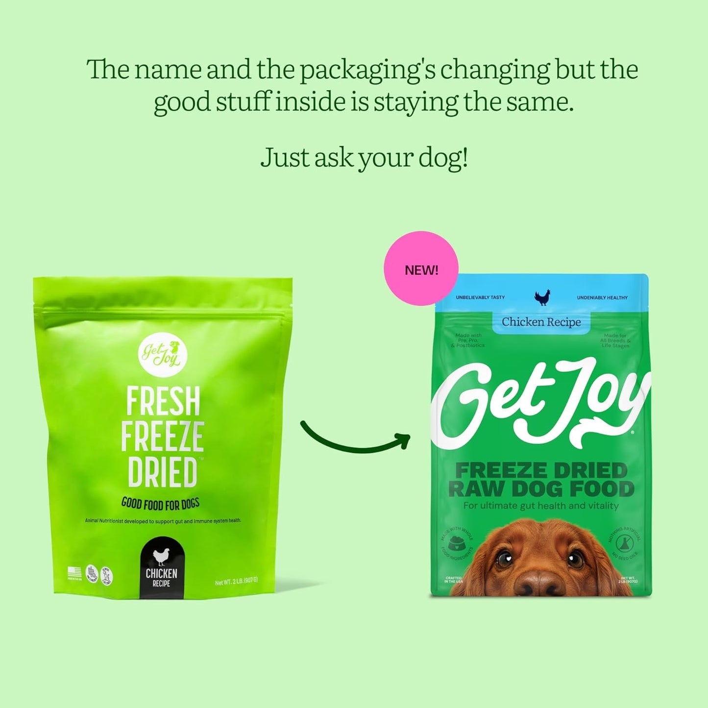 Get Joy Gut Health Fresh Freeze Dried Raw Meal, Chicken Recipe, 16 Ounce Bag, Dog Food for Dogs of All Breeds and Life Stages, PhD Animal Nutritionist Formulated, Made in USA