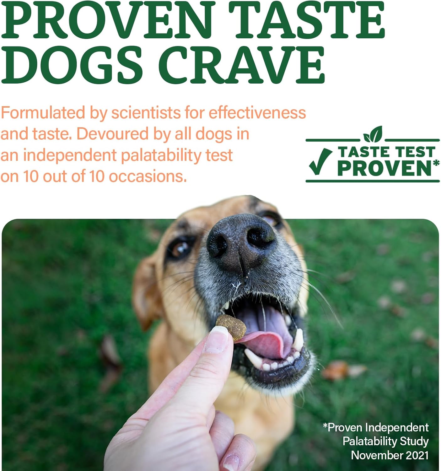 Doggie Dailies Senior Essentials Multivitamin for Dogs Soft Chews | Advanced Dog Multivitamin | Nutritional Support for Joints, Skin & Coat, Digestion, and the Immune System | Bacon Flavor | 120 Count