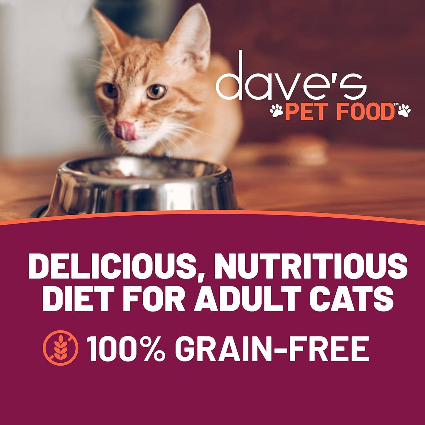Dave's Pet Food Grain Free Wet Cat Food (Farmyard Fowl, Chicken & Duck), Made in USA Naturally Healthy Canned, Added Vitamins & Minerals, 5.5 oz Cans (24 Pack)