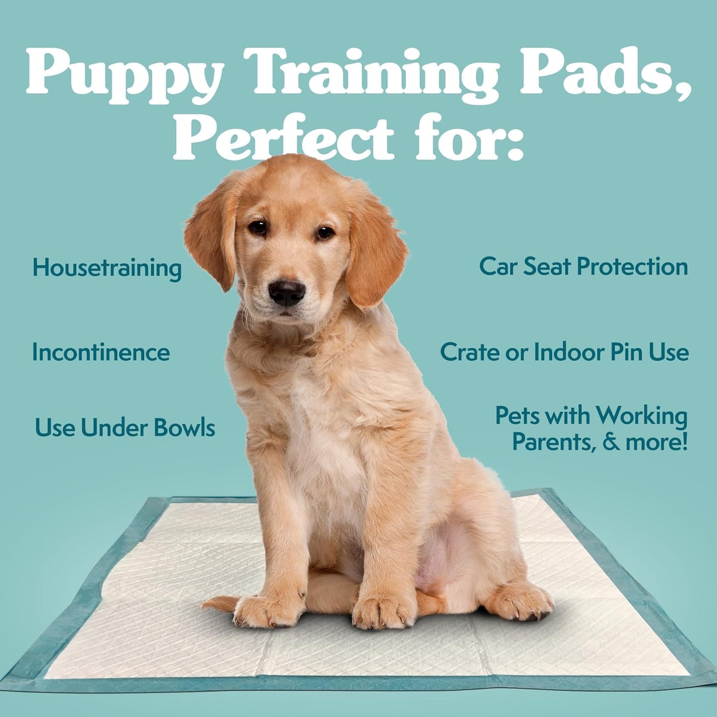 Simple Solution Puppy Training Pads – Large Leak-Proof Potty Pads for Dogs – Disposable with Odor Control and Absorbent Core for Floor Protection – 23 x 24 Inches – 100 Count