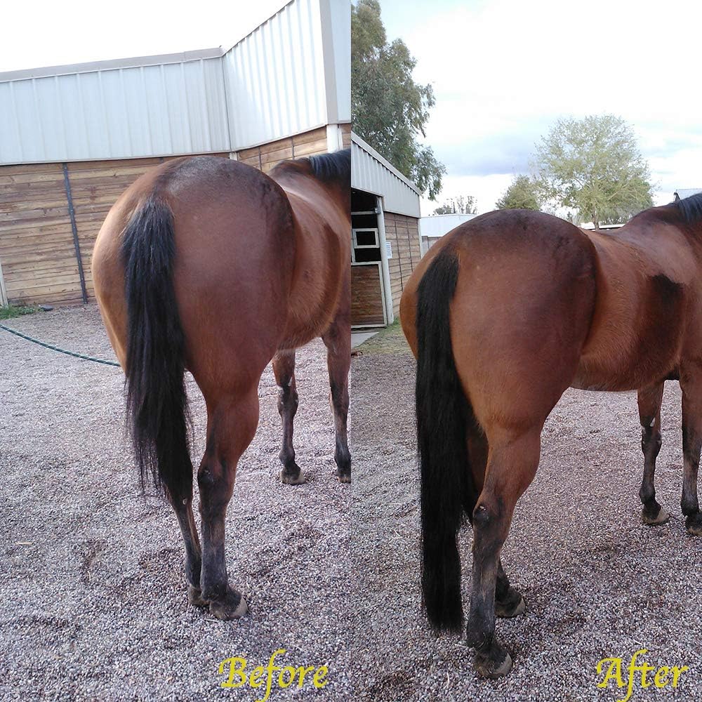 Horse Tail Extensions with Braided Horsehair Loop, Blunt Cut Bottom, 34-36 inches Long and 1 lb Weight (Natural Black)