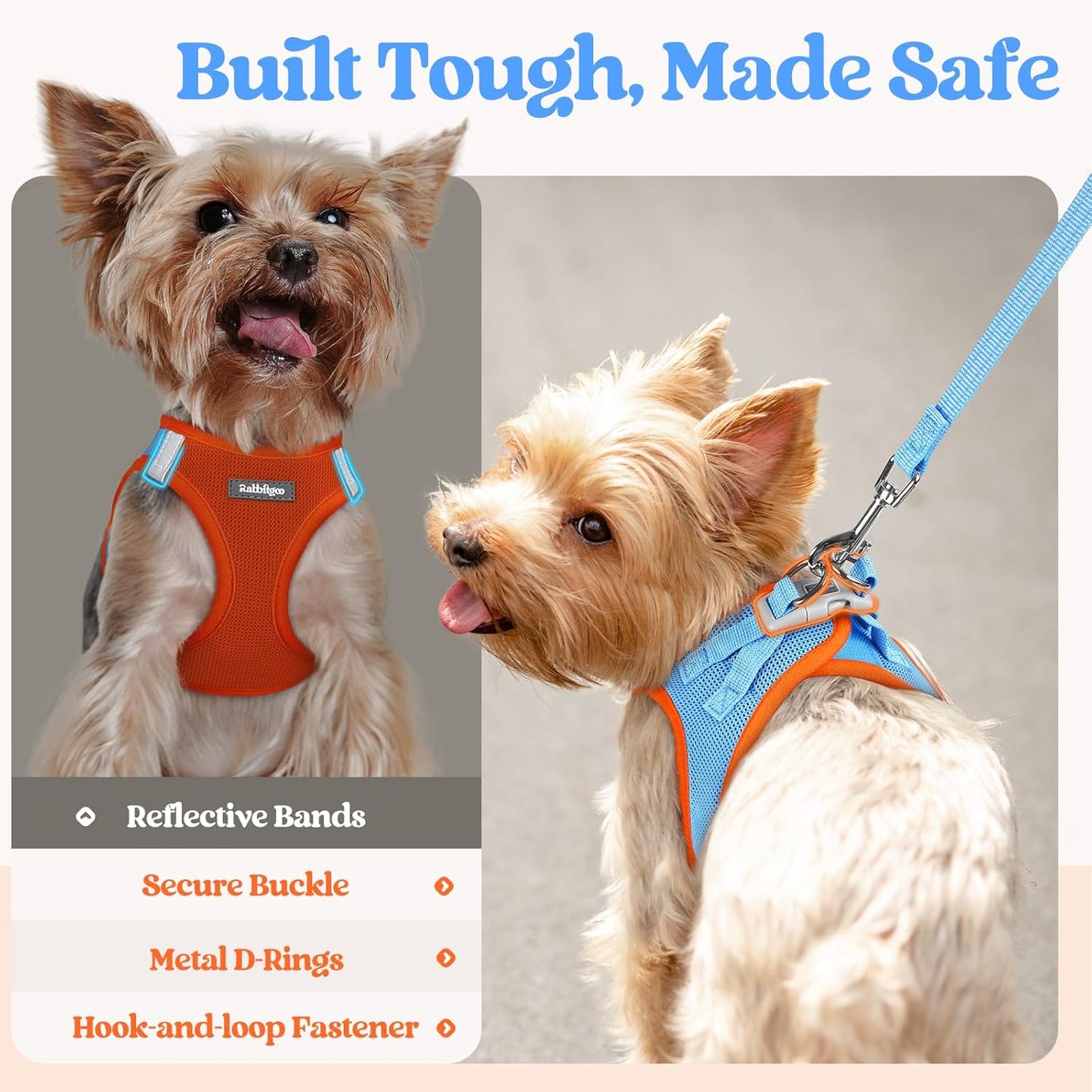 rabbitgoo Dog Harness Small Medium Sized and Leash Set, Step in Soft Light Puppy Vest, Breathable Mesh Pet Harness, Reflective for Safe Easy Walking, Blue & Orange L