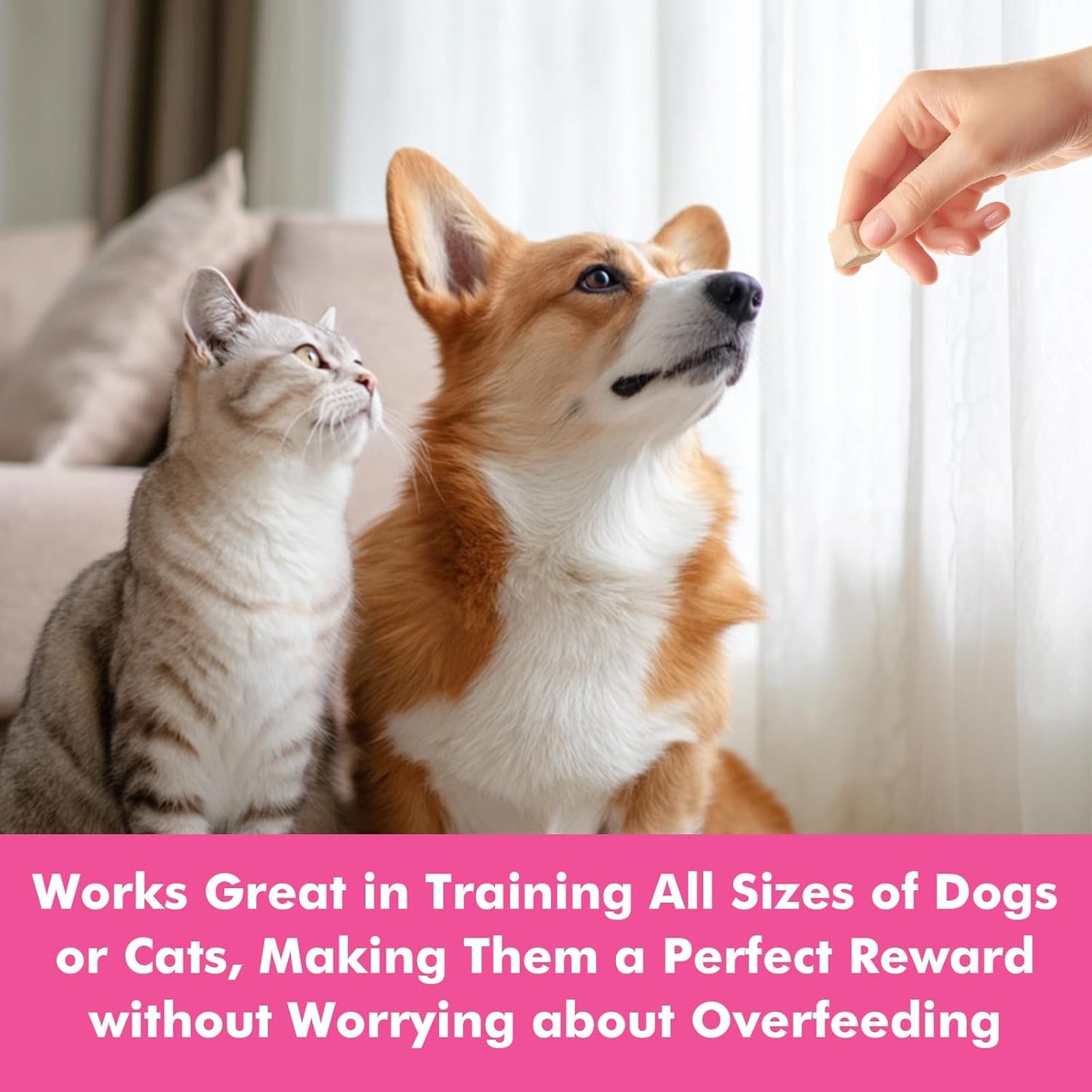 Freeze Dried Cats & Dogs Raw Treats, All Natural Single Ingredient Chicken Breast, High Protein Healthy Pet Training Treats or Food Topper, 3.5 oz