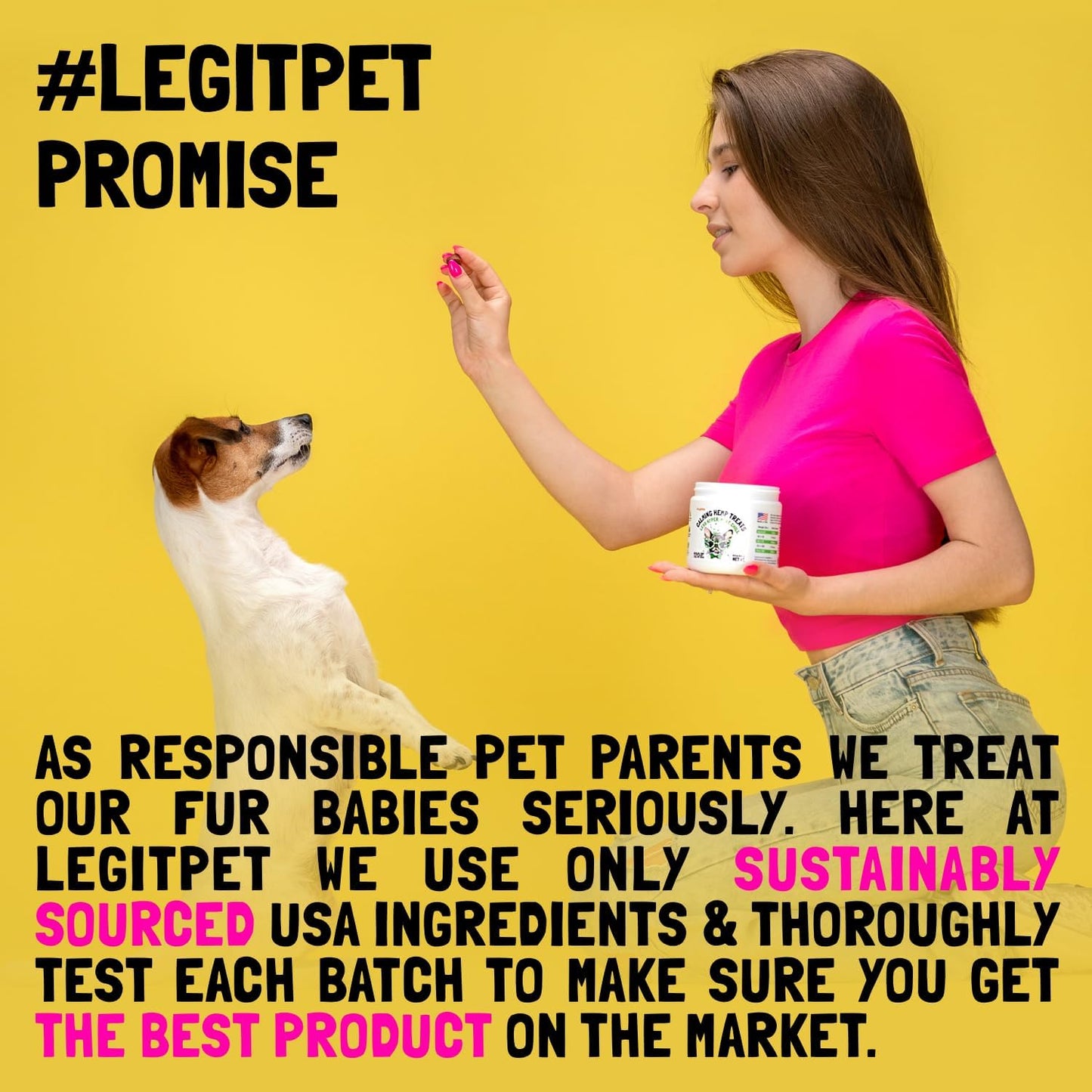 Turmeric Curcumin Hip & Joint Dogs Supplement Anti-Inflammatory Support for Arthritis & Mobility with Collagen & BioPerine Pain Relief Antioxidant Digestive Cardiovascular and Liver Health 120 Chews