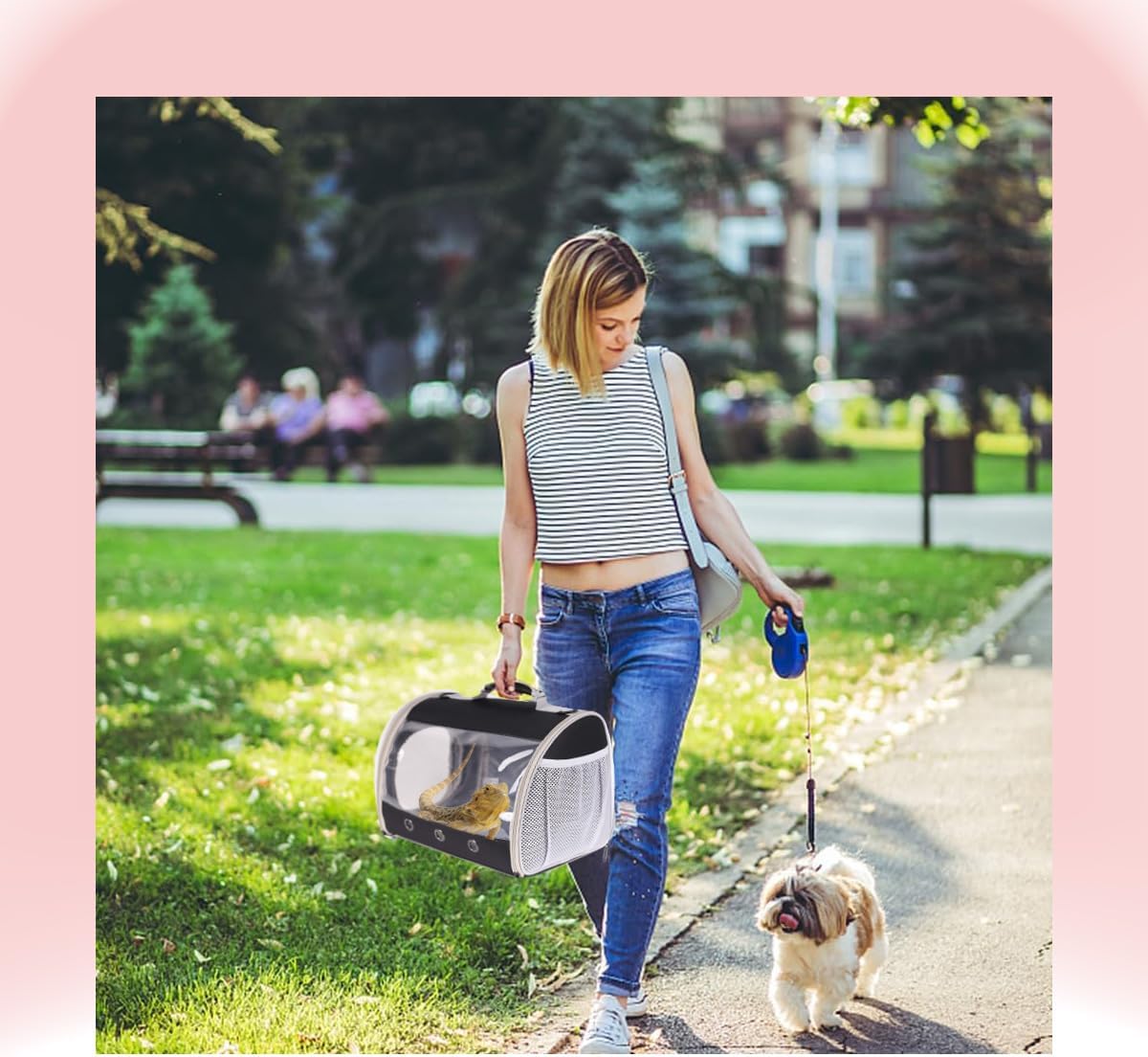 Bearded Dragon Travel Carrier Backpack,Lizard Backpack Carrier,Space Capsule Clear Bubble Window Astronaut Reptile Carrier Backpack for Guinea Pig,Sugar Glider,Bunny (Black, TPU Carrier+MAT)