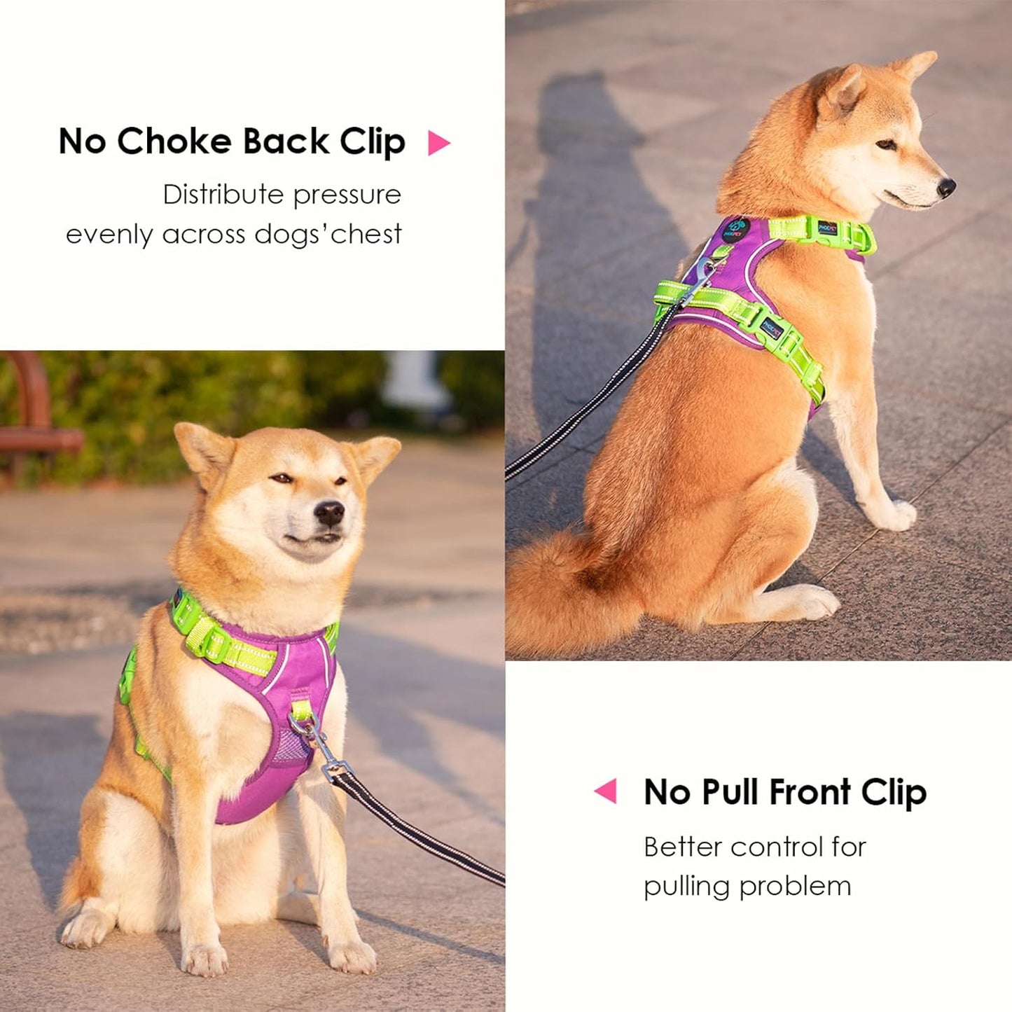 PHOEPET No Pull Dog Harness, Unique Colors Reflective Adjustable Dog Vest, with Soft Training Handle Metal Clips for Small Medium Large Dogs (Purple Base & Green Straps,XL)