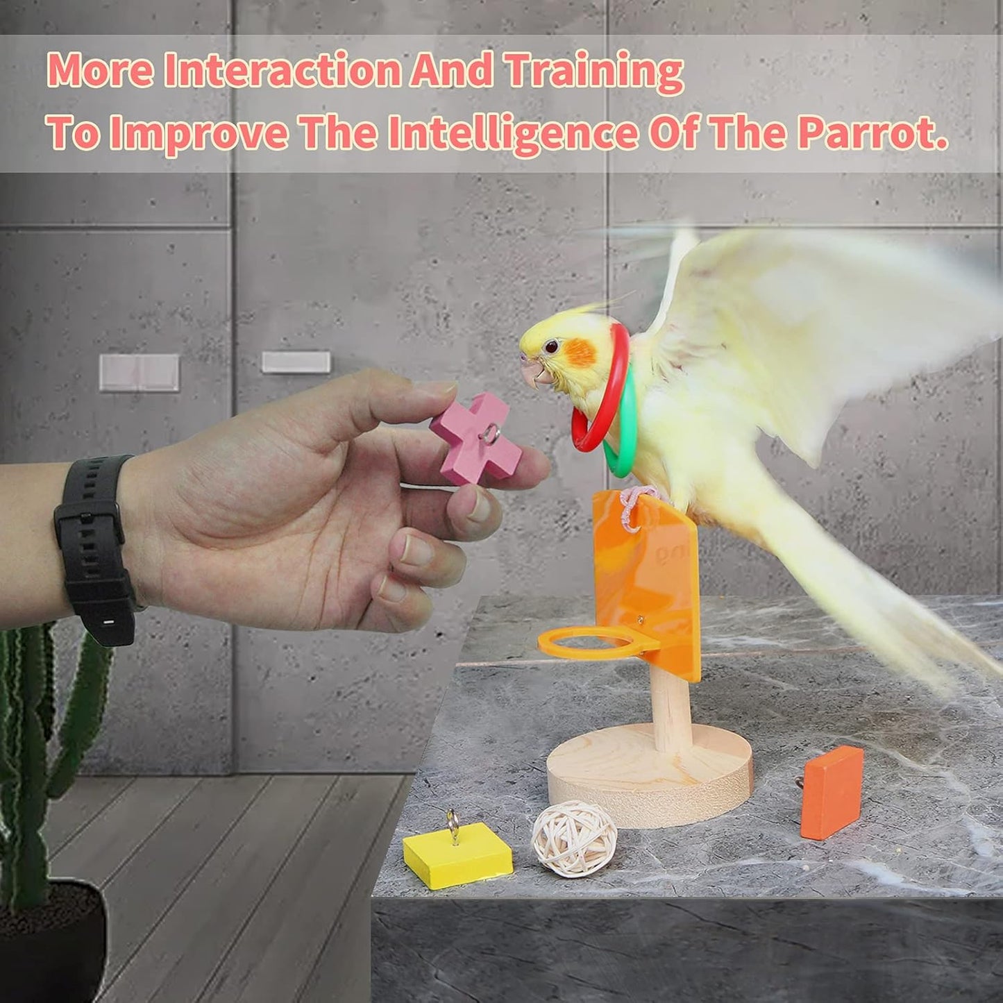 Bird Toys For Parakeets,5pcs Parrot Toys Set （Include Bird Basketball Toy、Bird Skateboard、Bird Stacking Toy、Parrot Wooden Block Puzzles Toy、Small Sepak Takraw）,Parakeet Toys、For Bird Training Toys12