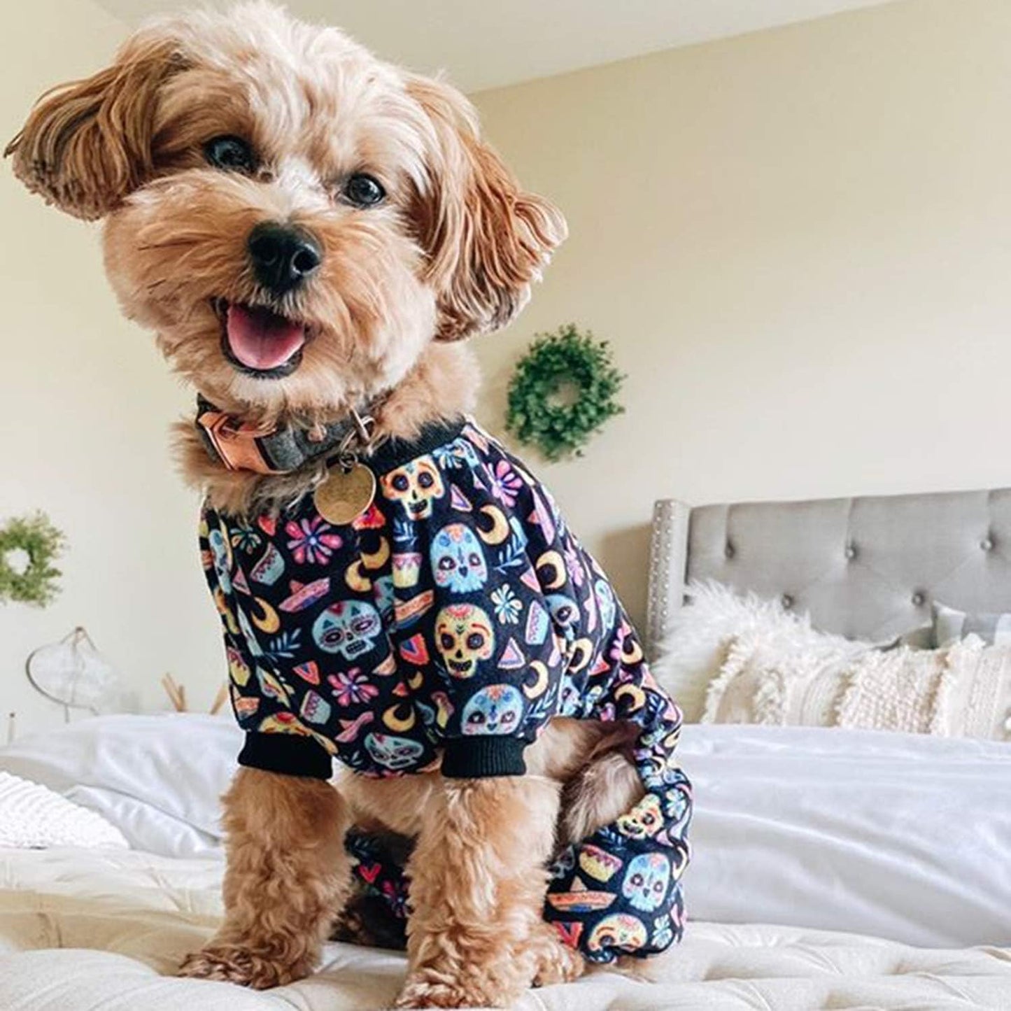 CuteBone Small Dogs Outfit Soft Puppy Onesies Pjs Halloween Dog Pajamas Pet Coat Cat Apparel Comfy Doggie Jumpsuit Bodysuit for All Seasons P73S