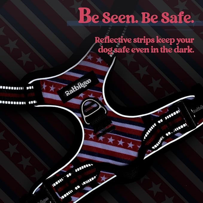 rabbitgoo Dog Harness No Pull with 2 Leash Clips, Adjustable Soft Padded, Reflective Oxford No Choke Pet Vest with Easy Control Handle for Large Dogs, Red Stripe, M