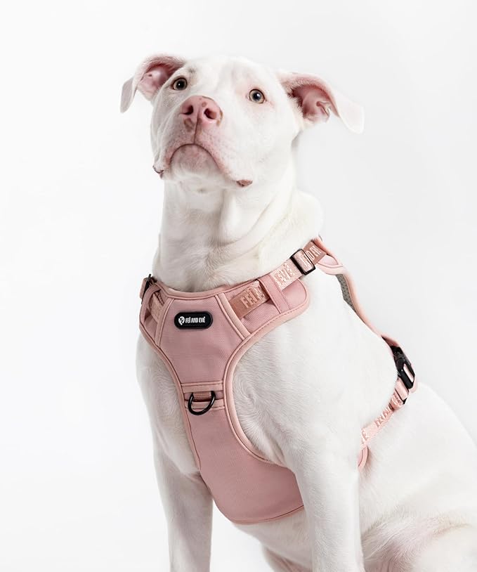 2025 New Edition, Fei & Eve MagEase Dog Harness - 3-Second Magnetic Buckles | 3-Point No-Pull Control | Heavy-Duty 900D Nylon | Dual Safety Handles | Breathable Mesh | Adjustable Fit | Medium, Pink