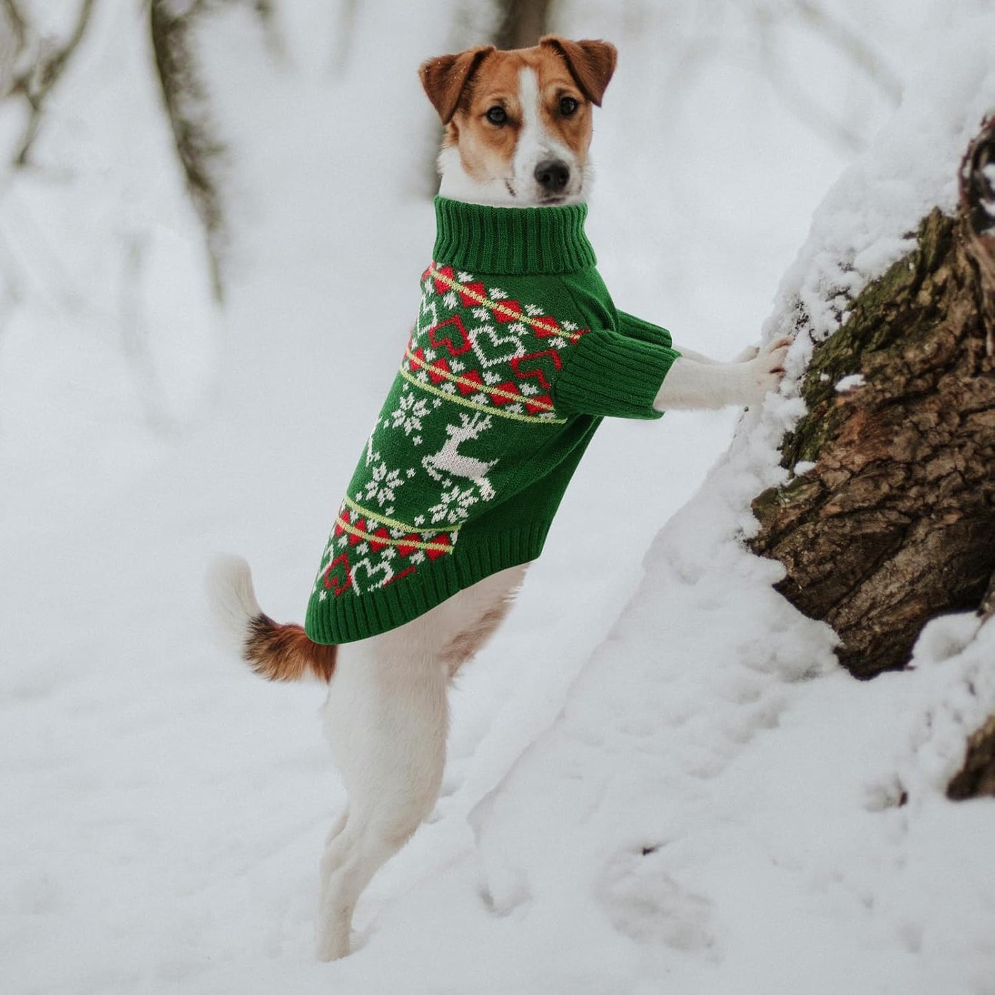 Queenmore Dog Christmas Sweater,Turtleneck Knitted Pullover Xmas Dog Clothes Sweatshirt,Pet Christmas Outfit, Warm Doggy Sweaters for Small Dogs Boy Girl,XS