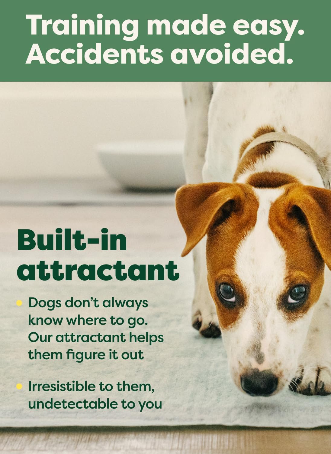 Earth Rated Max Absorbency Puppy Pee Pads for Dogs Absorbs 2X Faster & 2X More, Leak-Proof Odor-Free Potty Training Wee Wee Pad, Unscented, XL, 28” x 34”, 40 Count