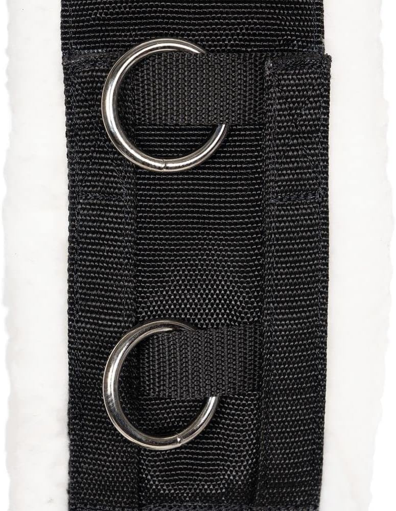Dura-Tech Fleece Lined Training Surcingle for Horses | Essential for Lunging Work | Comfortable Fleece Lining | Durable Poly Material | Versatile D-Ring Placement | Suitable for All Training Levels